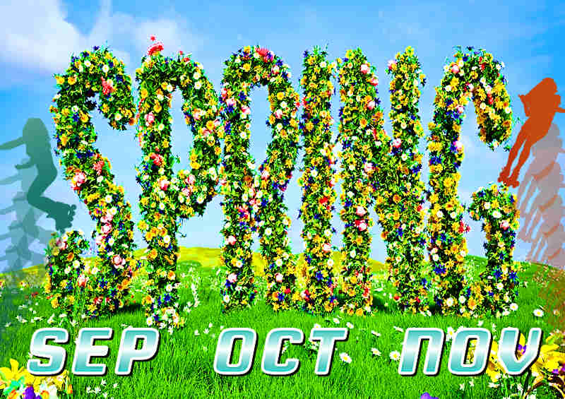 Spring into fun at Rollerway